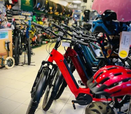 Vente de vélos à Fontainebleau